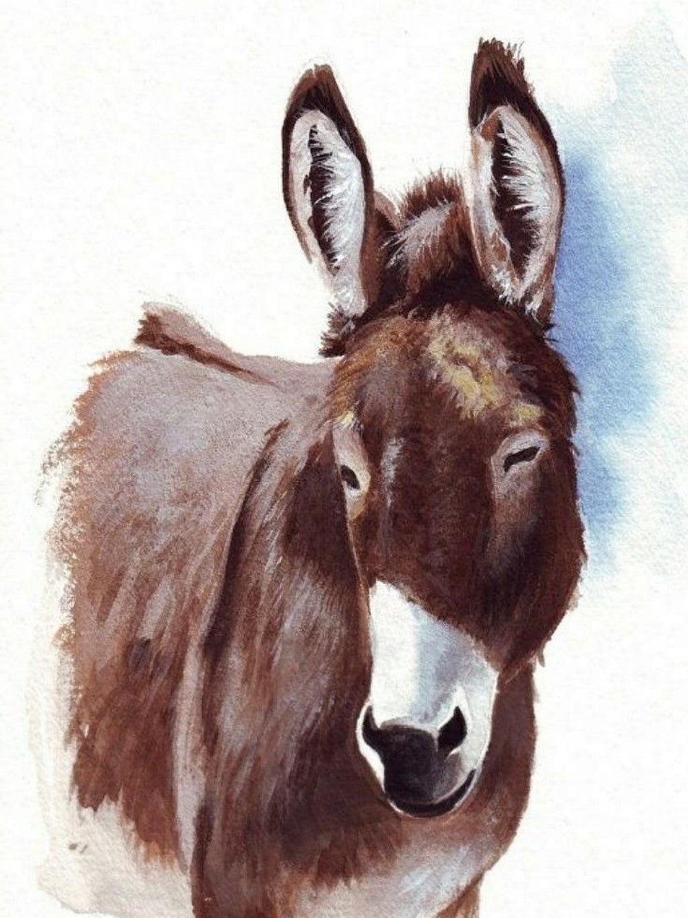 Donkey | Diamond Painting