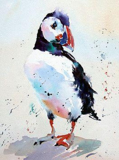 Puffin | Diamond Painting