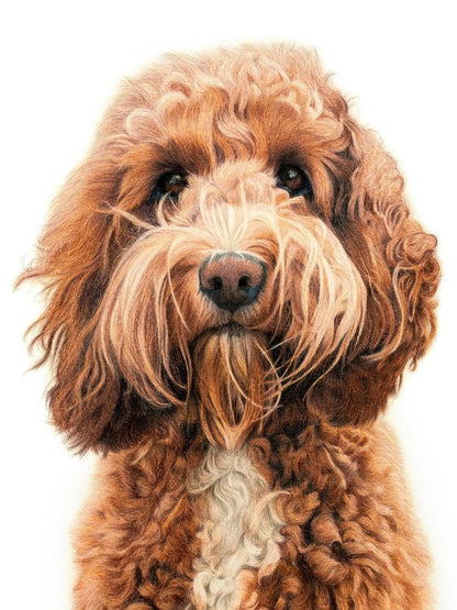 Goldendoodle Dog | Diamond Painting