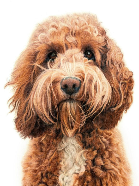 Goldendoodle Dog | Diamond Painting