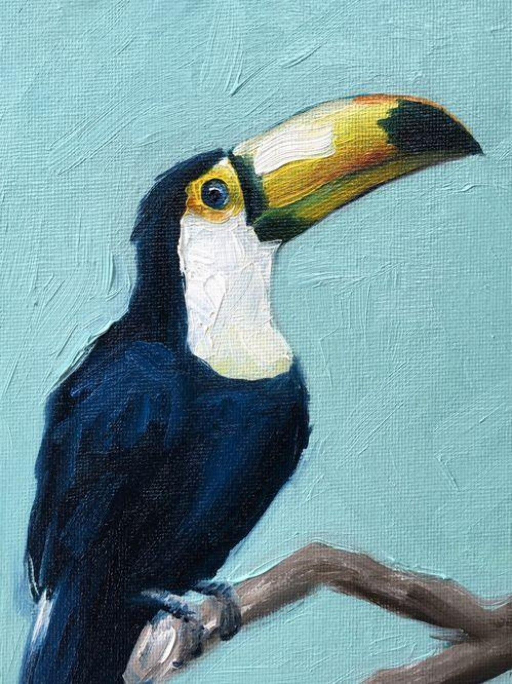 Toucan Bird | Diamond Painting