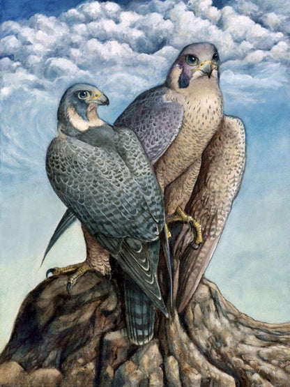 Falcon | Diamond Painting