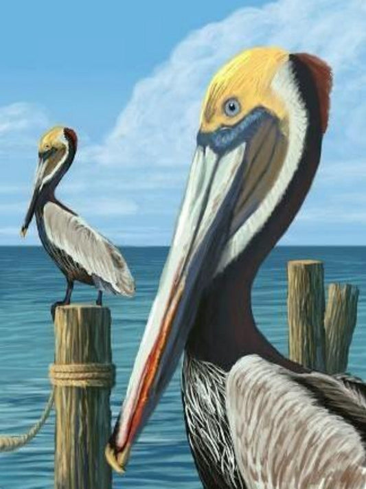 Pelican | Diamond Painting