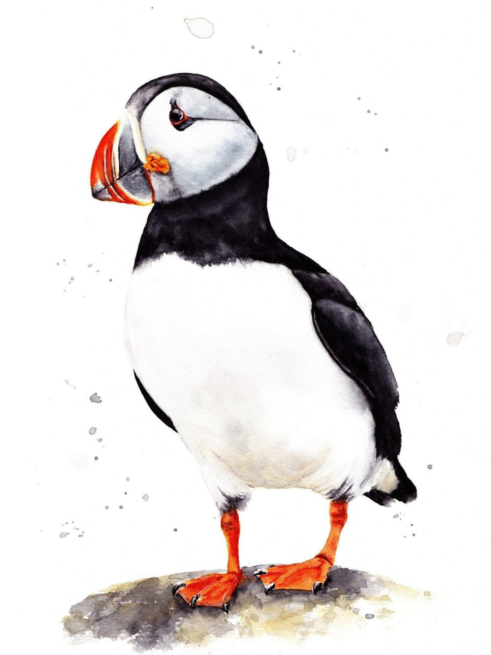 Puffin | Diamond Painting