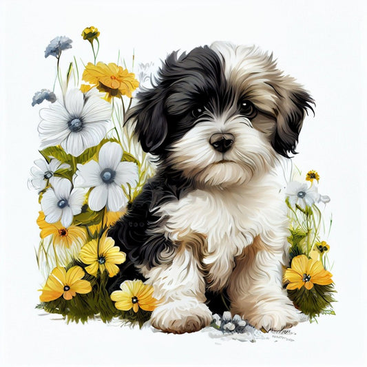 Havanese Dog | Diamond Painting