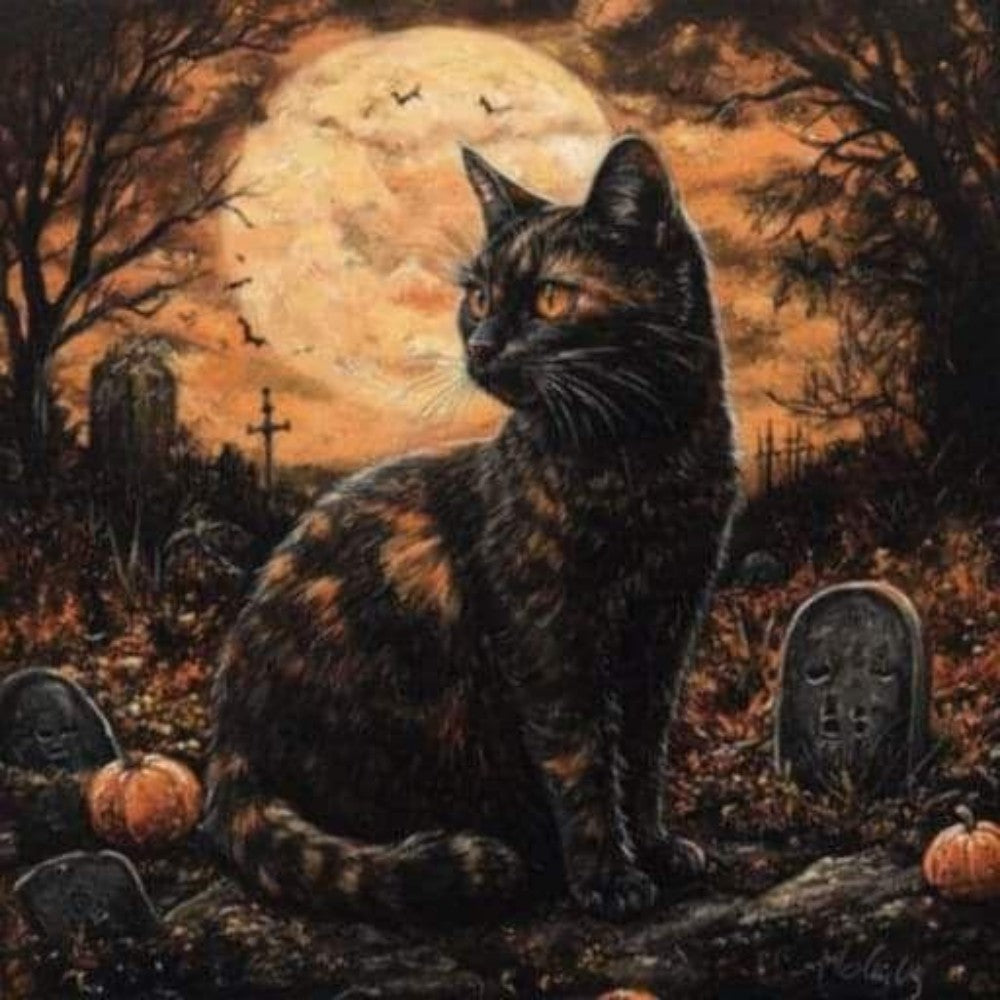 Black Cat | Diamond Painting