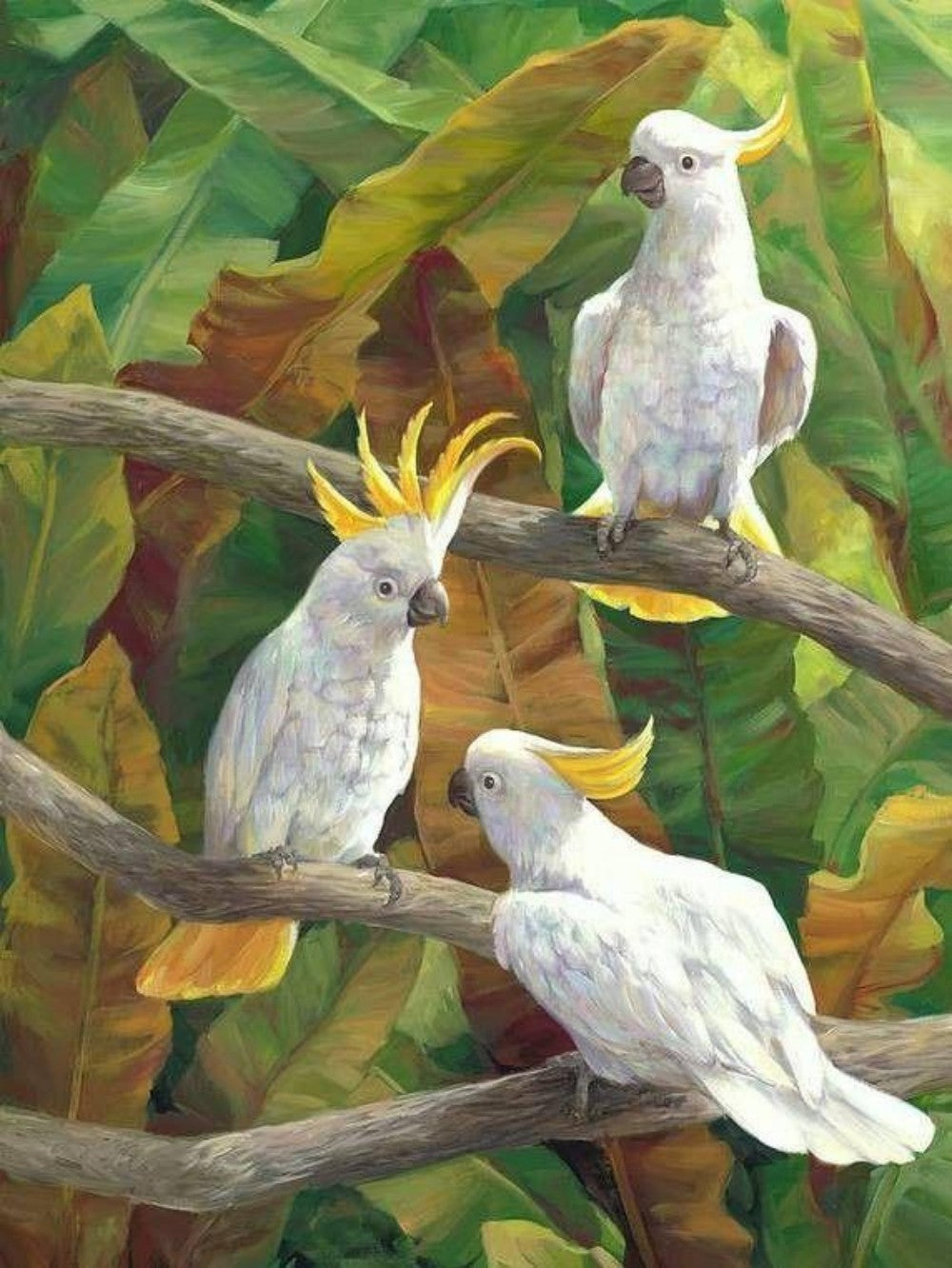 Cockatoo | Diamond Painting