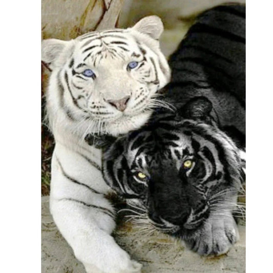 White Tiger | Cross Stitch Embroidery