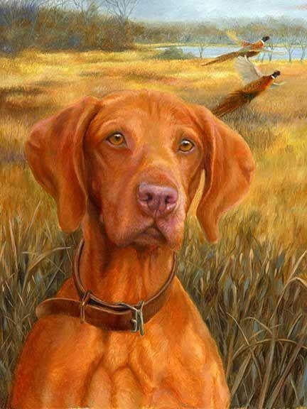 Vizsla Dog | Diamond Painting