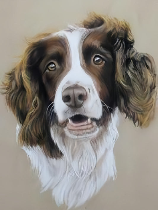 English Springer Spaniel Dog | Diamond Painting