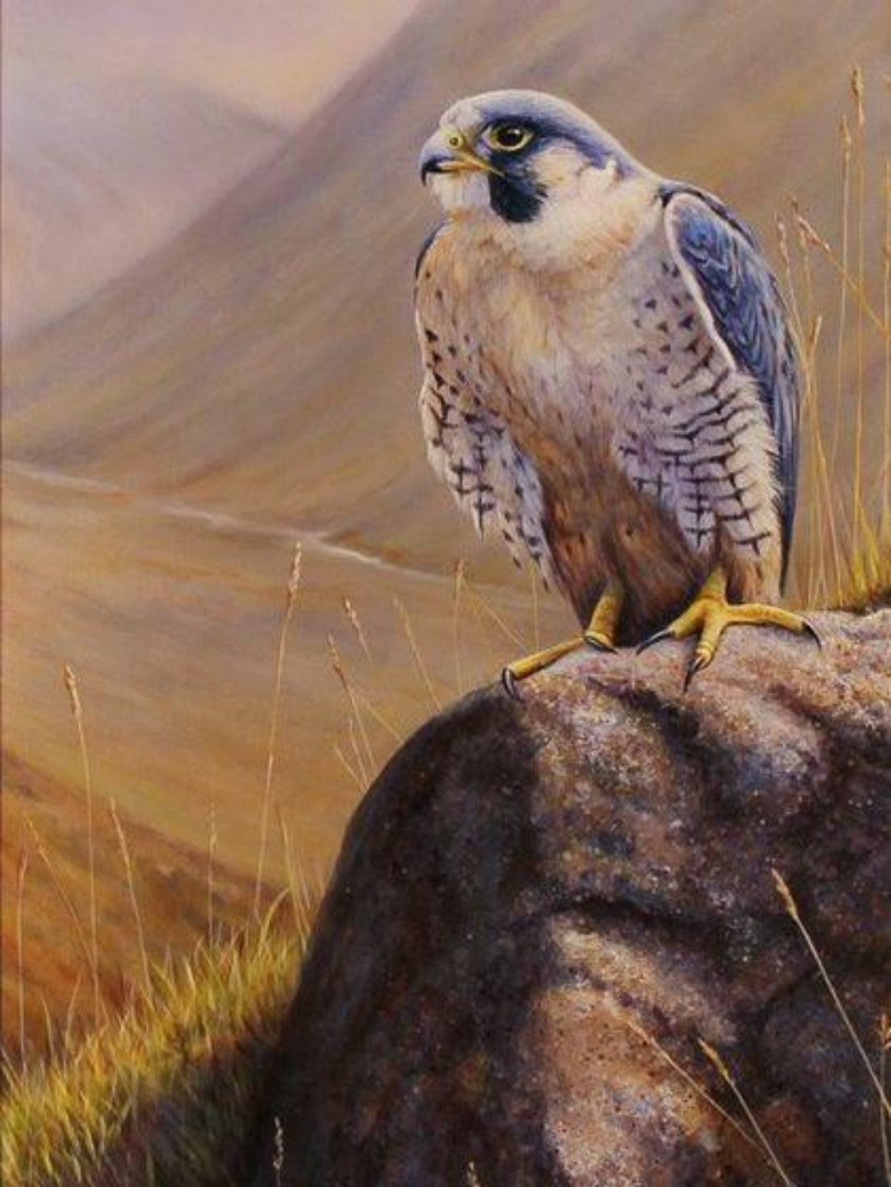 Falcon | Diamond Painting
