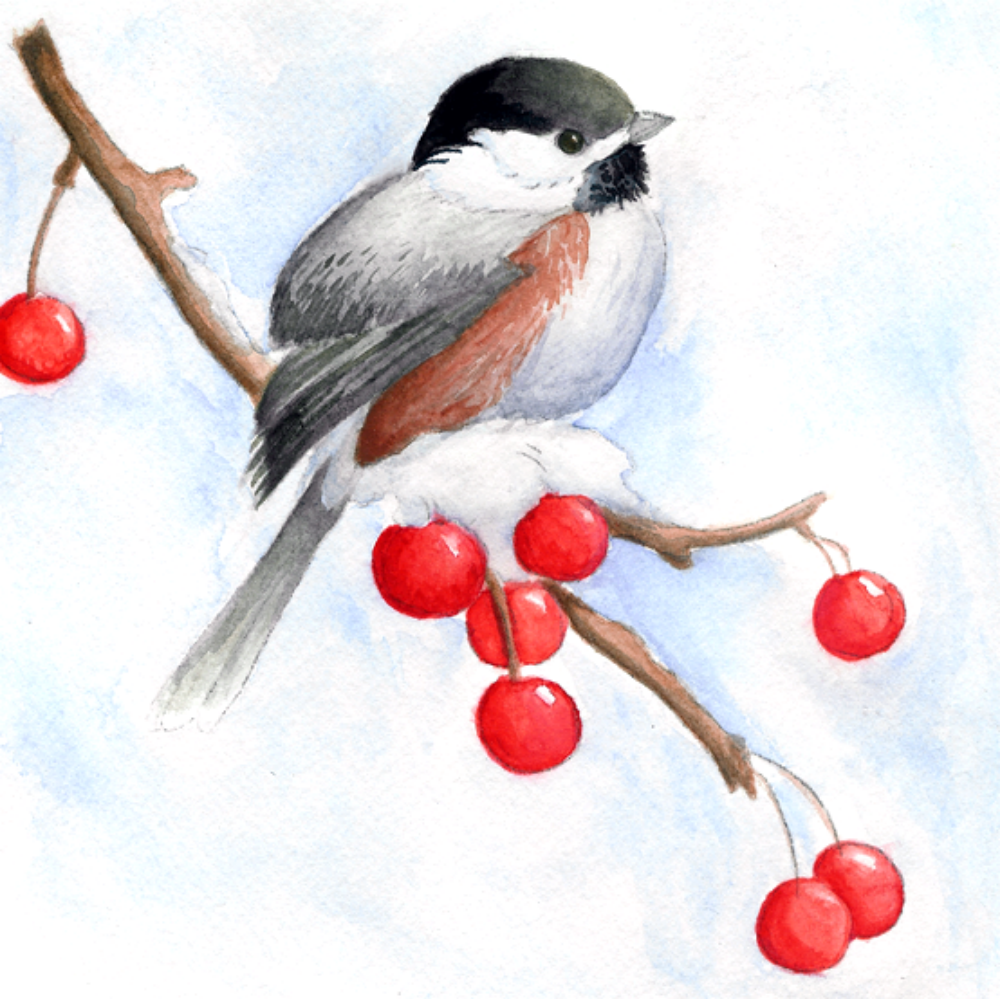 Chickadee | Diamond Painting