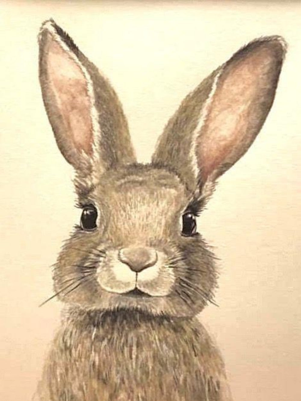 Rabbit | Diamond Painting