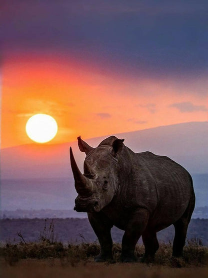 Rhino | Diamond Painting