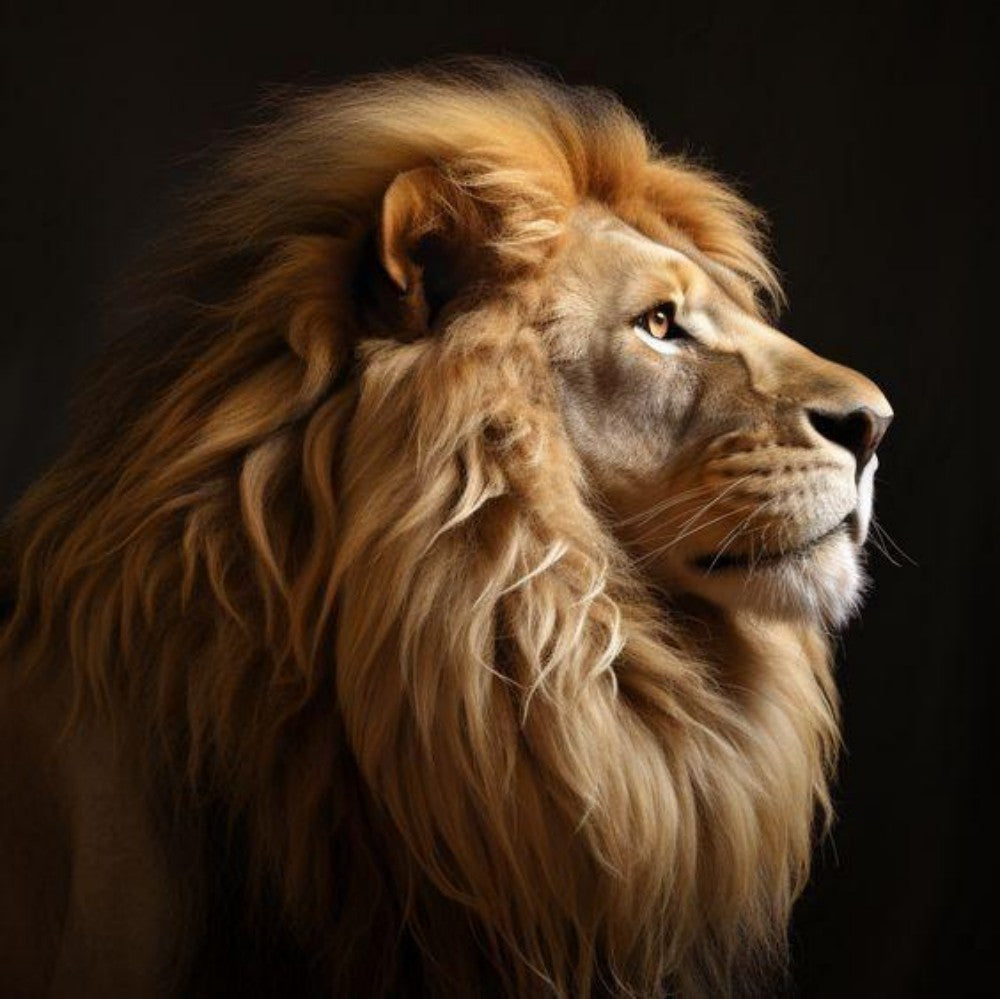Lion | Diamond Painting