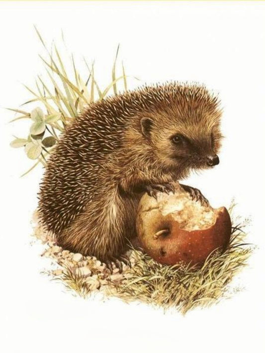 Hedgehog | Diamond Painting