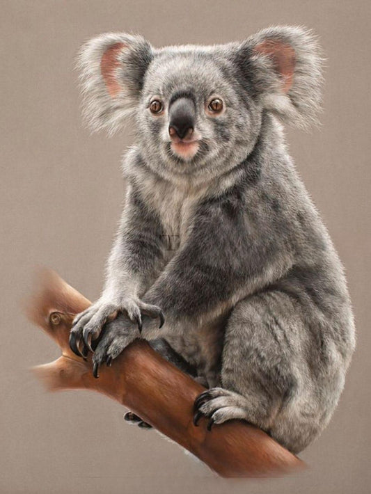 Koala | Diamond Painting