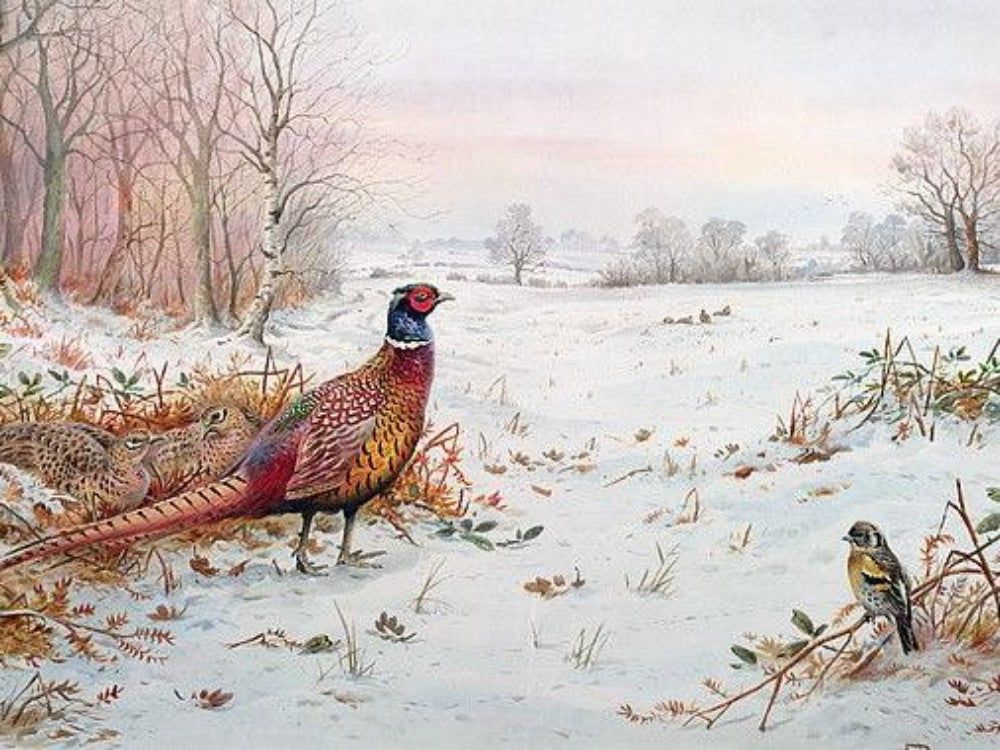 Pheasant | Diamond Painting