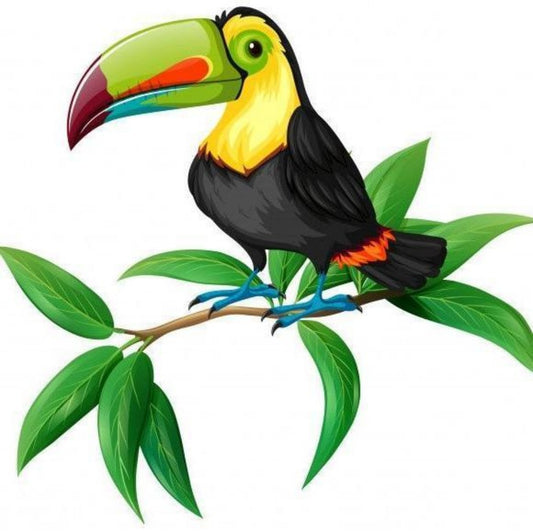 Toucan Bird | Diamond Painting