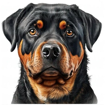 Rottweiler Dog | Diamond Painting
