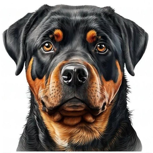 Rottweiler Dog | Diamond Painting