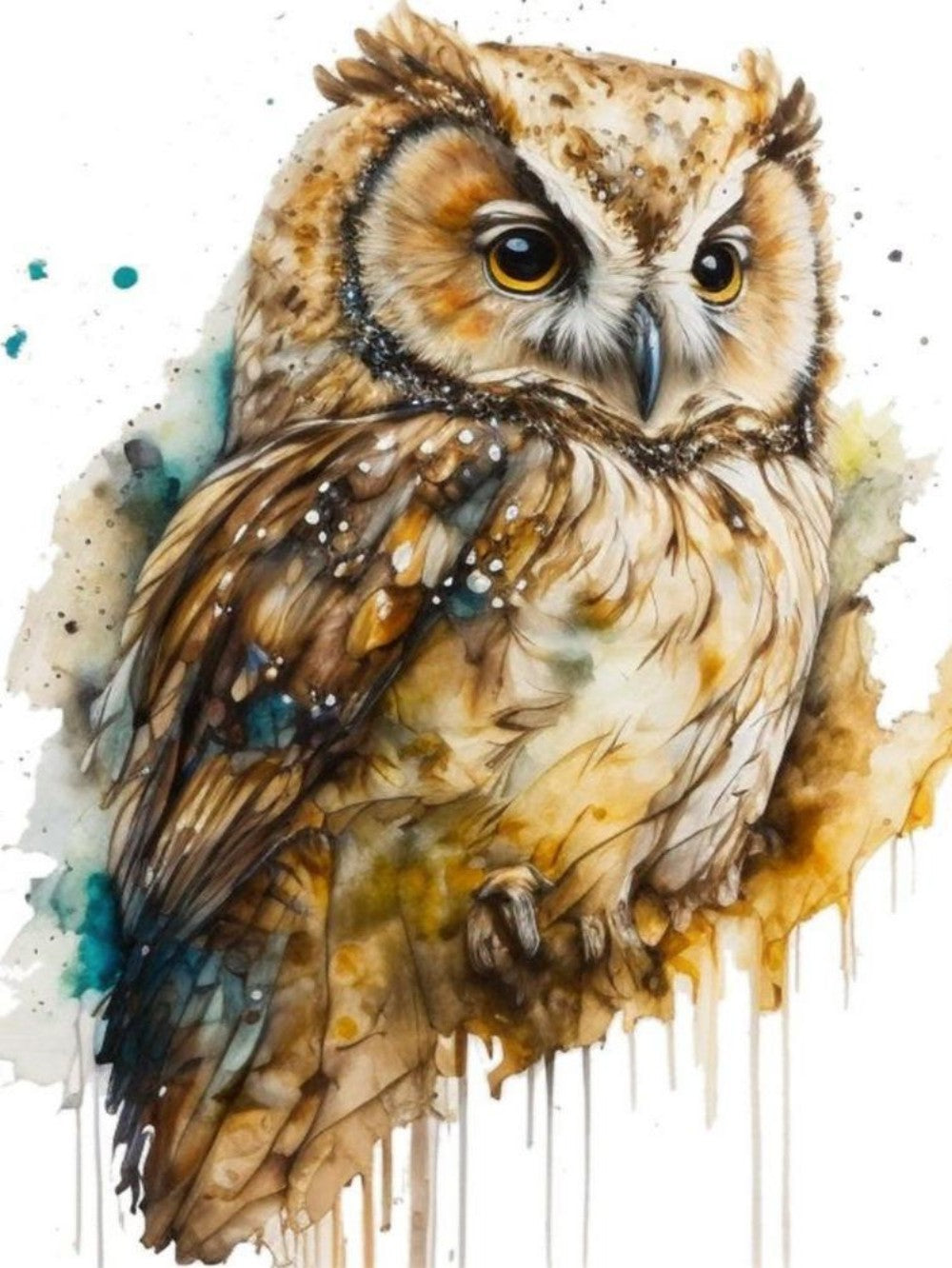 Owl | Diamond Painting