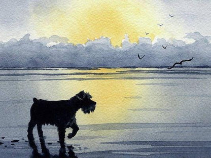 Dog Schnauzer | Diamond Painting