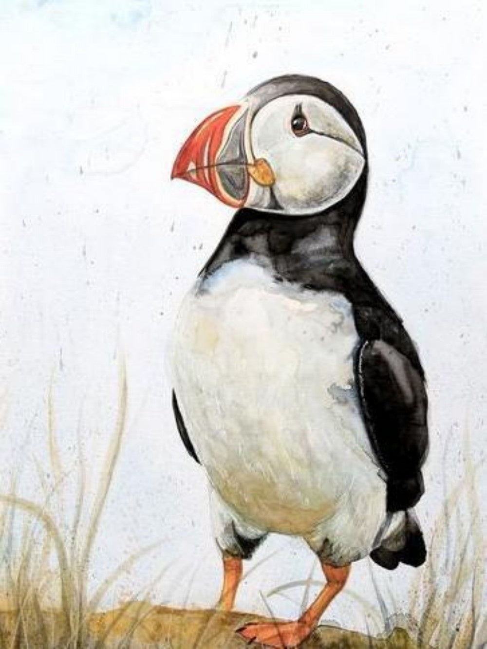 Puffin | Diamond Painting