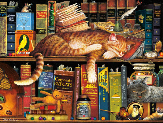 Cat Bookshelf | Diamond Painting