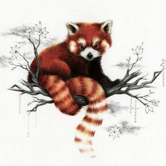 Red Panda | Diamond Painting