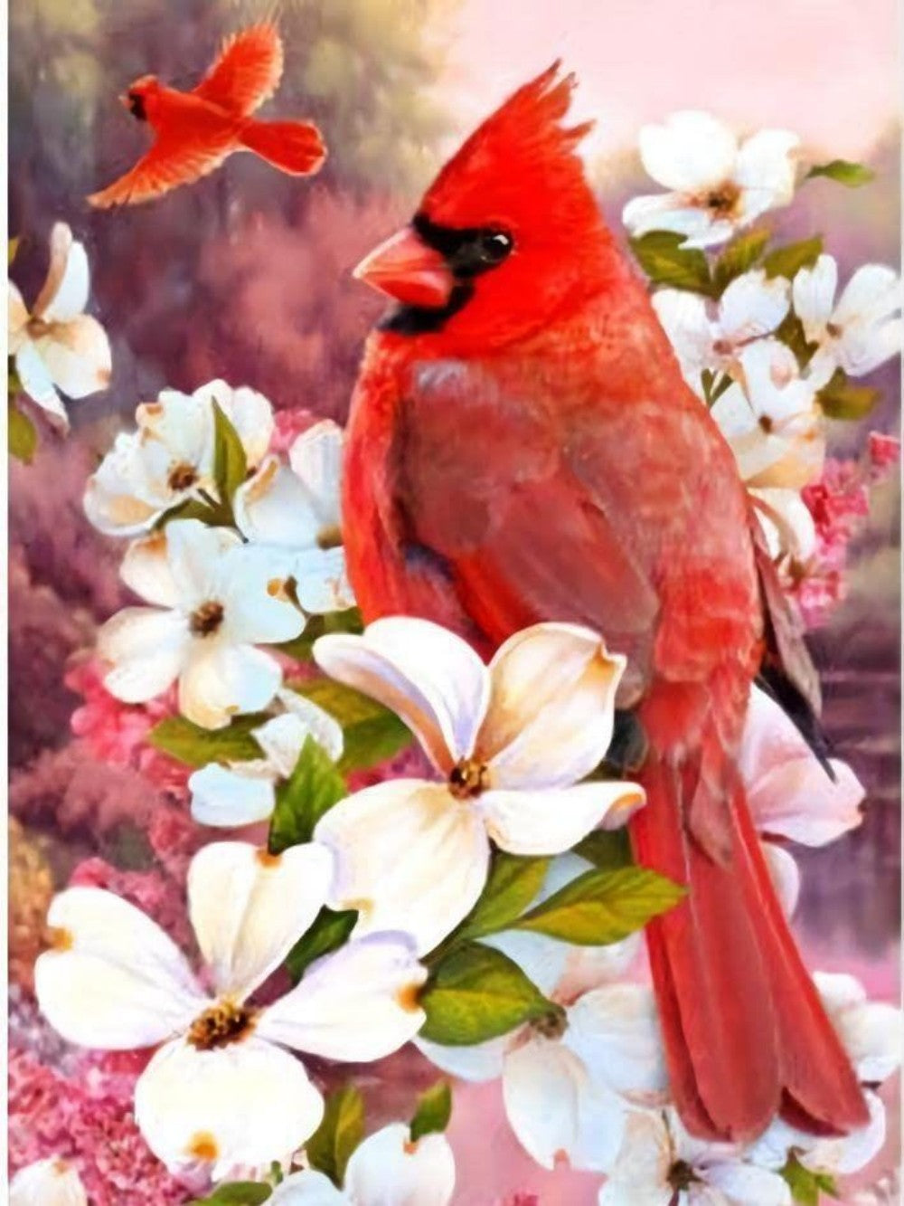 Cardinal | Diamond Painting