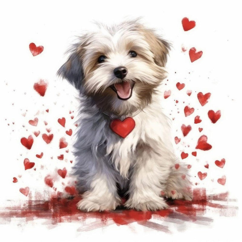 Havanese Dog | Diamond Painting