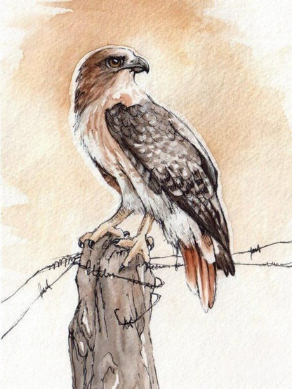 Falcon | Diamond Painting