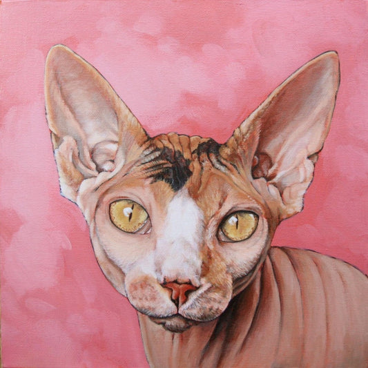 Sphynx Cat  | Diamond Painting