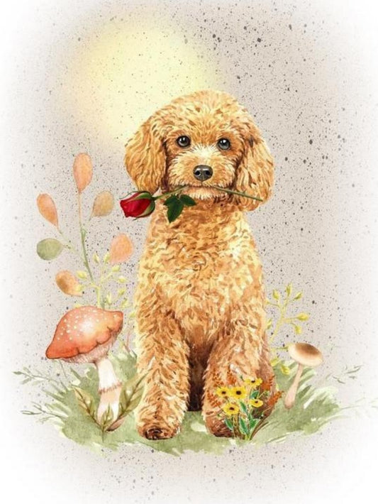 Cavapoo Dog | Diamond Painting