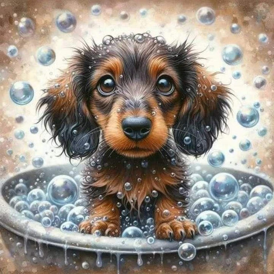 Dachshund Dog | Diamond Painting