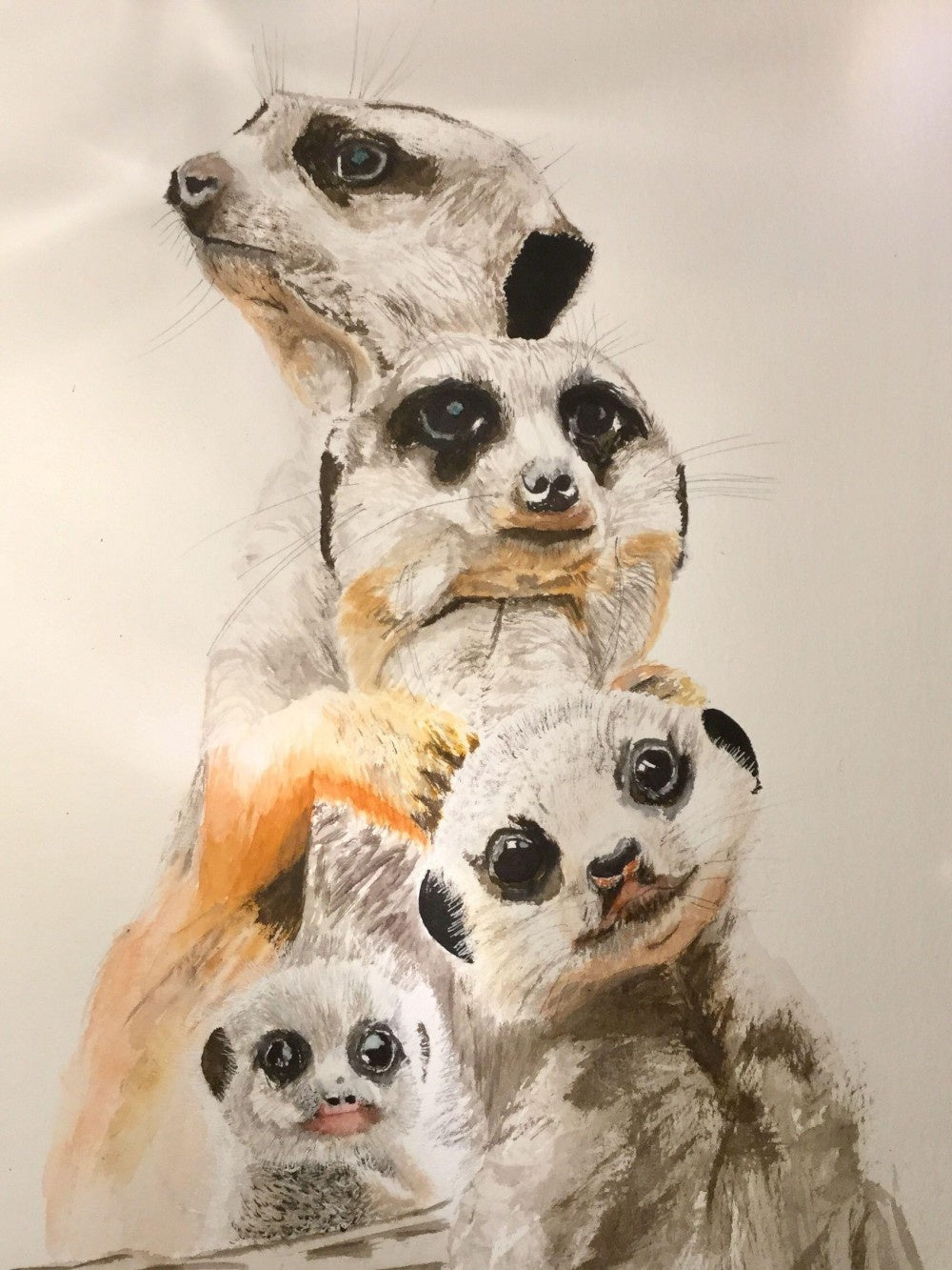Meerkat | Diamond Painting