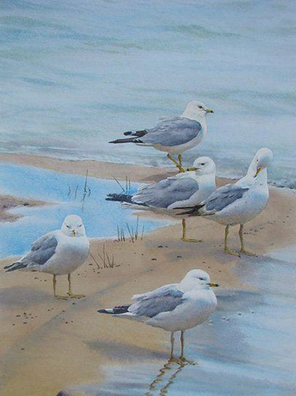 Gull | Diamond Painting