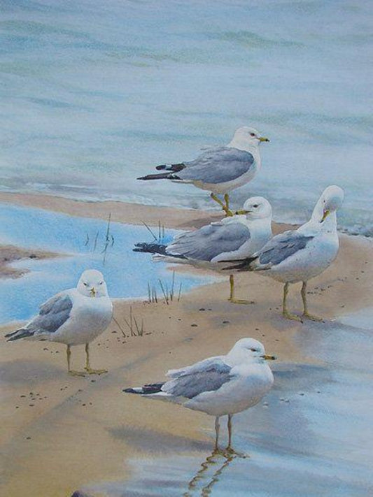 Gull | Diamond Painting