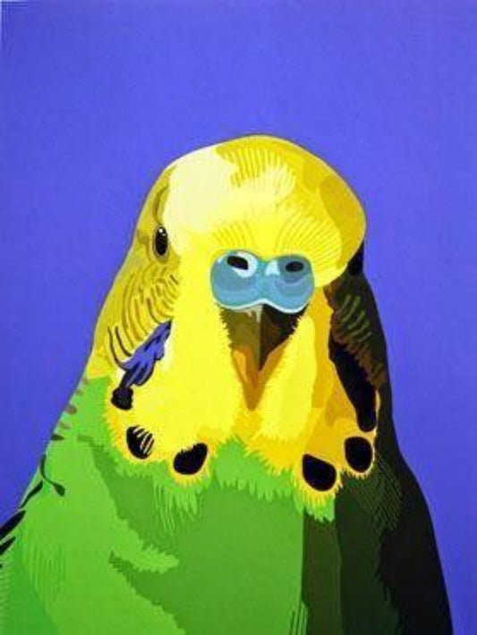 Budgie | Diamond Painting