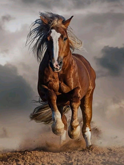 Horse | Diamond Painting