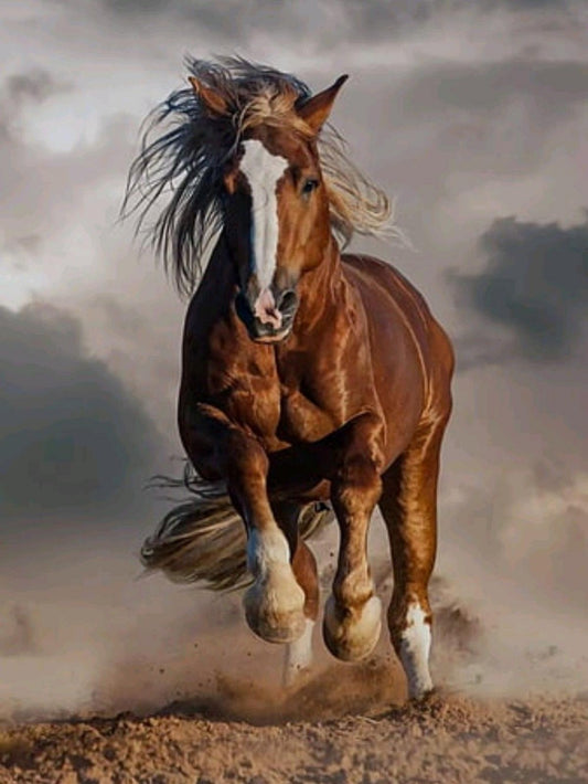 Horse | Diamond Painting