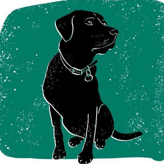 Black Labrador Dog | Diamond Painting