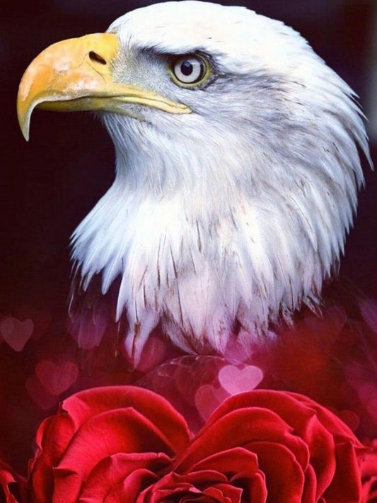 Eagle | Diamond Painting