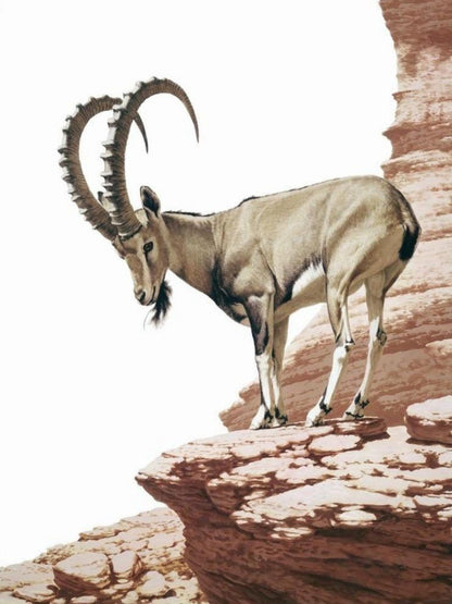 Goat | Diamond Painting