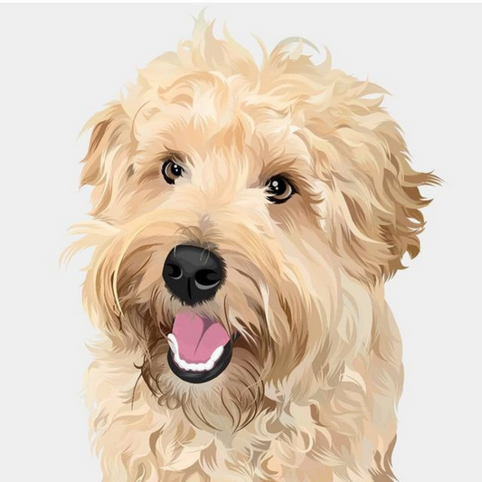 Goldendoodle Dog | Diamond Painting