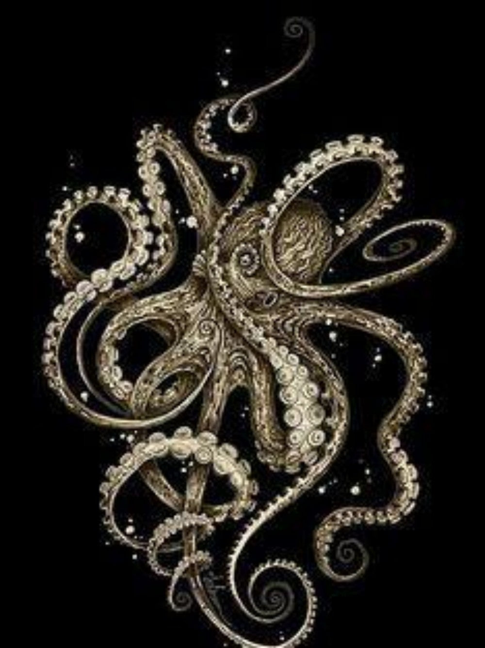Octopus | Diamond Painting