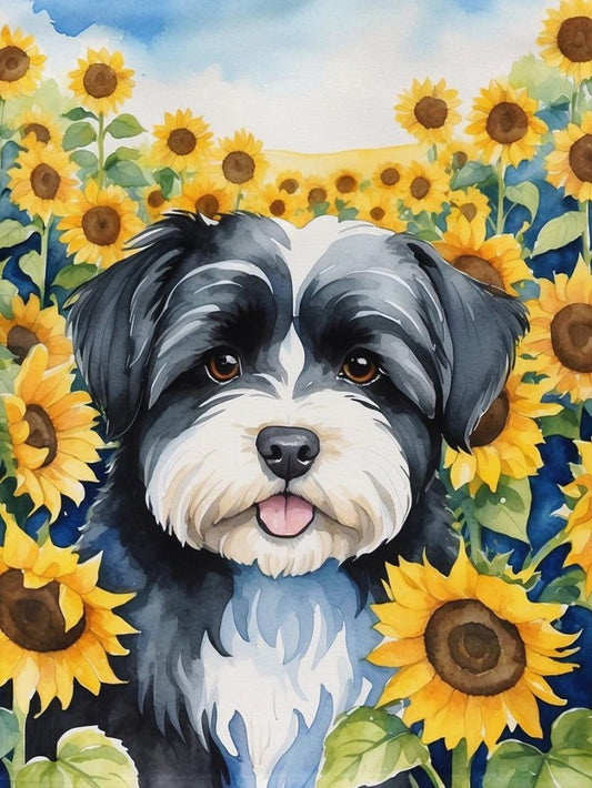 Havanese Dog | Diamond Painting