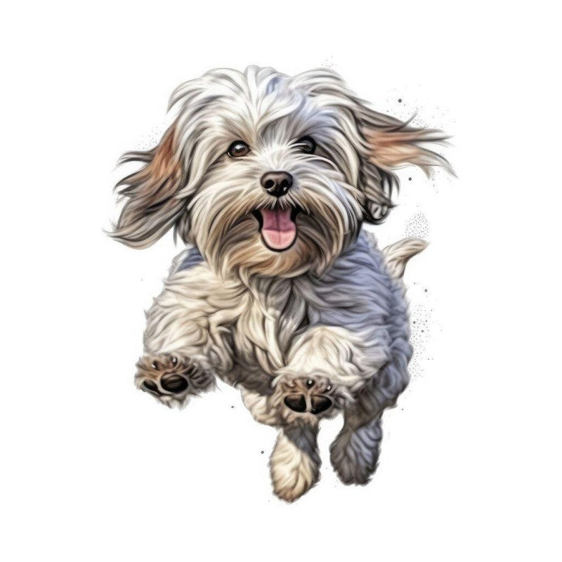 Havanese Dog | Diamond Painting