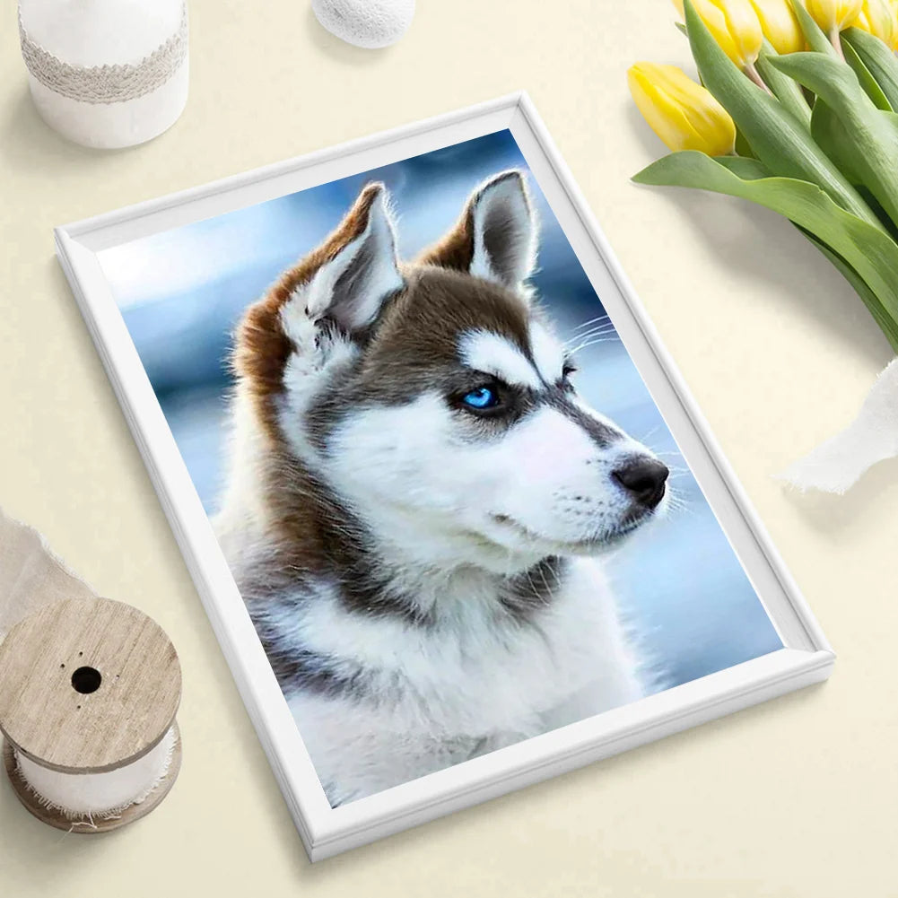 White Dog Husky | Diamond Painting
